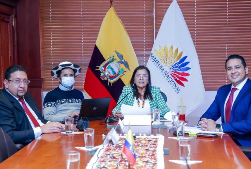 Guadalupe Llori present&oacute; segunda acci&oacute;n de protecci&oacute;n contra el CAL