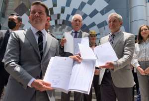 Una vez entregada las preguntas, la Corte Constitucional tendr&aacute; un plazo de 20 d&iacute;as para pronunciarse.