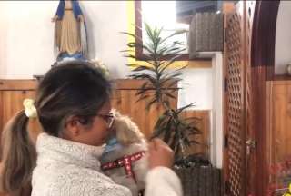 Cuenca: Bendici&oacute;n de perros en una iglesia de la ciudad