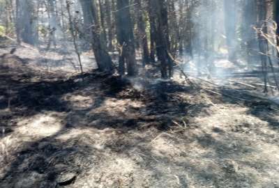 El Cuerpo de Bomberos sofoc&oacute; varios incendios al norte de la capital.