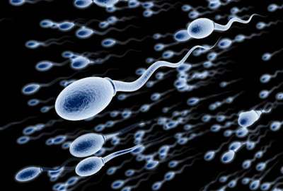 Eso significa que la fertilidad y salud masculina est&aacute;n en situaci&oacute;n preocupante.