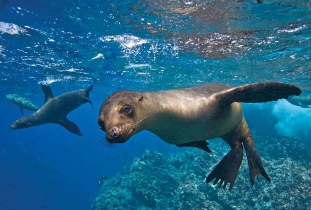 Foro de Par&iacute;s invita a Ecuador a exponer su canje de deuda por conservaci&oacute;n