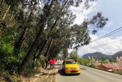 74 &aacute;rboles ser&aacute;n talados este fin de semana en Cuenca. Conozca las alternativas viales. 