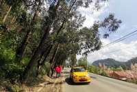 74 árboles serán talados este fin de semana en Cuenca. Conozca las alternativas viales.