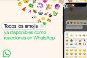 WhatsApp despliega las reacciones con 'emojis' en los estados en su &uacute;ltima beta para Android