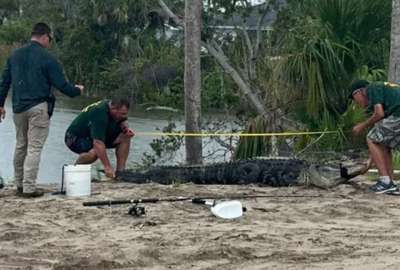 La Comisi&oacute;n para la Conservaci&oacute;n de la Fauna y la Pesca est&aacute; investigando el incidente