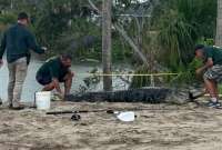 La Comisi&oacute;n para la Conservaci&oacute;n de la Fauna y la Pesca est&aacute; investigando el incidente