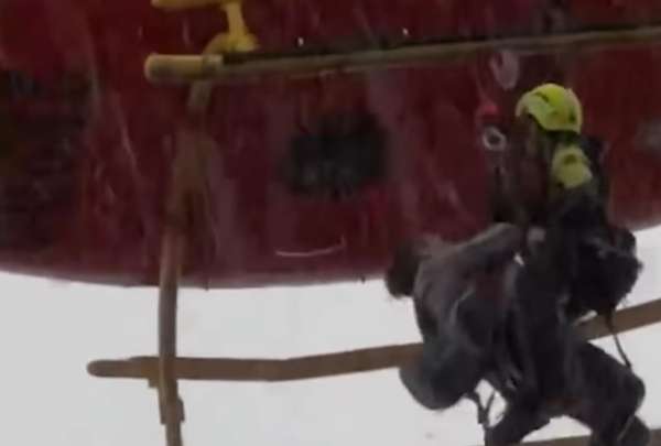 Tras las inundaciones registradas en Valencia, el impresionante rescate de una mujer y sus mascotas se viralizó en redes sociales.