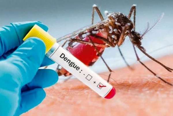   El ministro de Salud, Jos&eacute; Lama, se&ntilde;al&oacute; que las cifras de contagios y muertes por dengue se redujeron en comparaci&oacute;n al 2024.&nbsp;