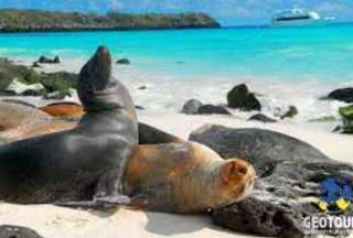 Ambiente investiga utilizaci&oacute;n de pirot&eacute;cnia en las islas Gal&aacute;pagos; alcaldesa se pronunci&oacute;