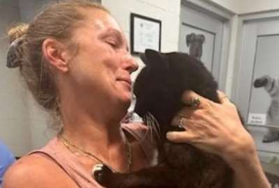 Mujer encontr&oacute; a su gato 10 a&ntilde;os despu&eacute;s de su desaparici&oacute;n