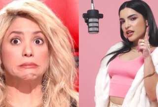 &iquest;Demandar&aacute;n a Shakira por plagio?