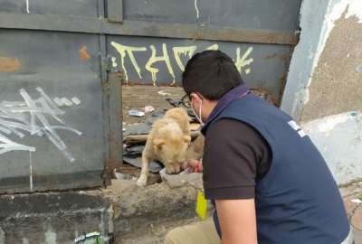 Perrito fue rescatado luego del fallecimiento de su due&ntilde;o que era un habitante de la calle