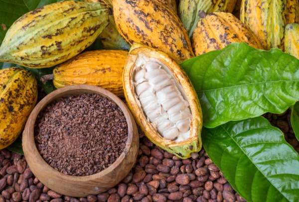El cacao es uno de los principales productos de exportaci&oacute;n a Estados Unidos.