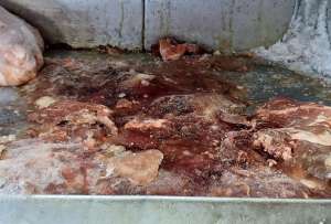 Un local de venta de carnes fue clausurado por insalubridad.&nbsp;