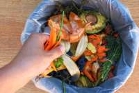 El desperdicio de alimentos se da desde la producci&oacute;n hasta el consumo en la mesa en Ecuador. Conozca la alarmante cifra de p&eacute;rdida de comida en Quito. 
