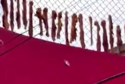 Clausuran chifas en Portoviejo y Cuenca por condiciones insalubres.