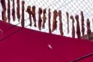 Autoridades encontraron carne colgada en cordeles de un chifa