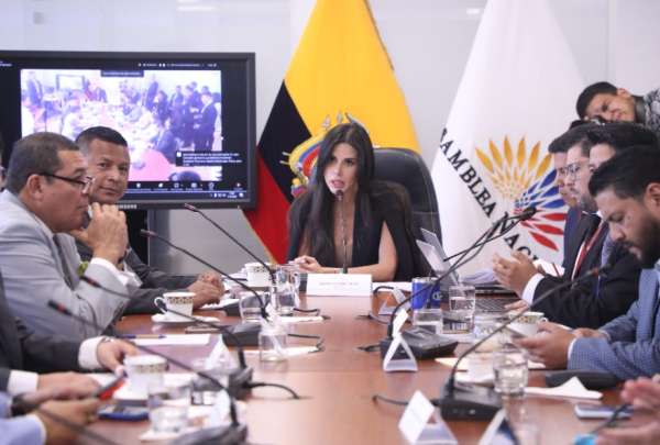 Diana J&aacute;come se&ntilde;al&oacute; que la fiscalizaci&oacute;n no le corresponde a la Comisi&oacute;n de Garant&iacute;as Constitucionales, de mayor&iacute;a corre&iacute;sta.