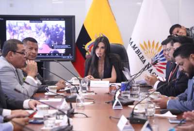 Diana J&aacute;come se&ntilde;al&oacute; que la fiscalizaci&oacute;n no le corresponde a la Comisi&oacute;n de Garant&iacute;as Constitucionales, de mayor&iacute;a corre&iacute;sta.