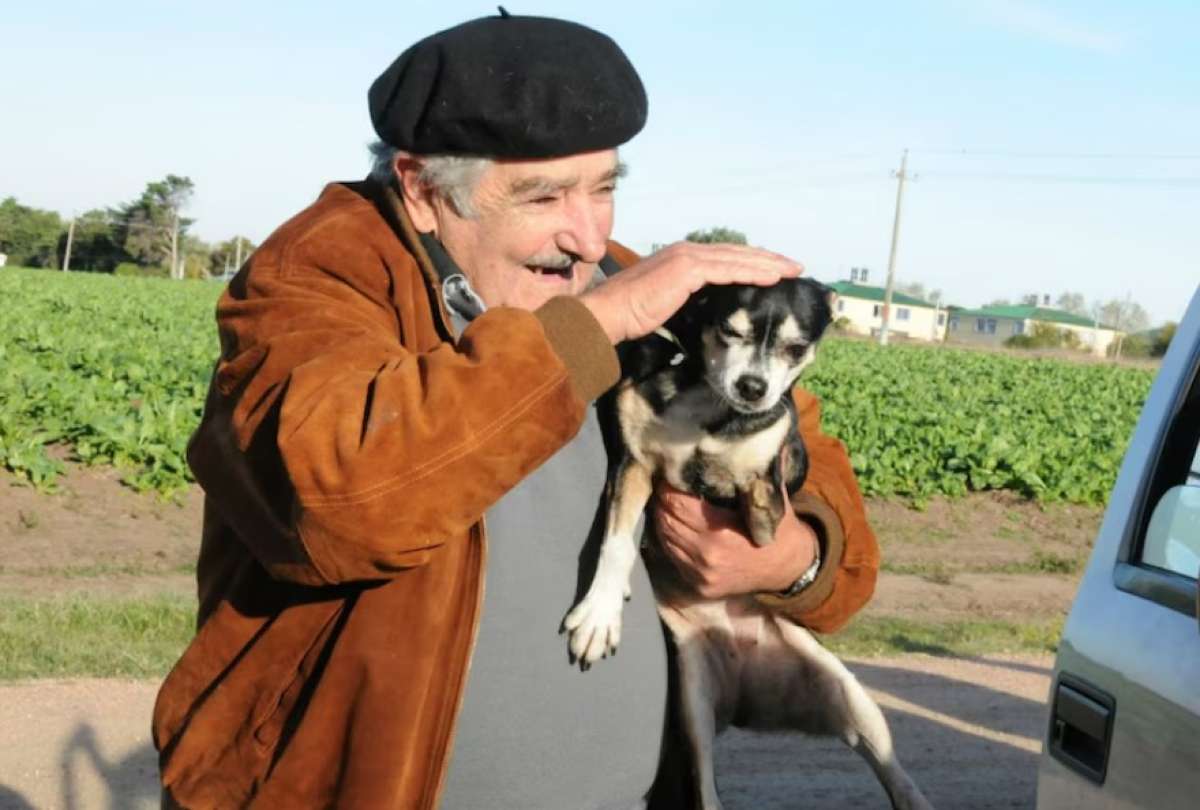 Manuela, la perrita de tres patas de José Mujica, falleció en 2018, a sus 22 años. 