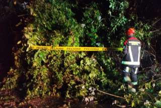 Deslizamientos y ca&iacute;da de un &aacute;rbol en la v&iacute;a Calacal&iacute; - La Independencia