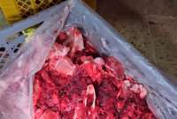 Una carnicería fue clausurada al norte de Guayaquil por vender sus productos mal almacenados y entre plagas. 