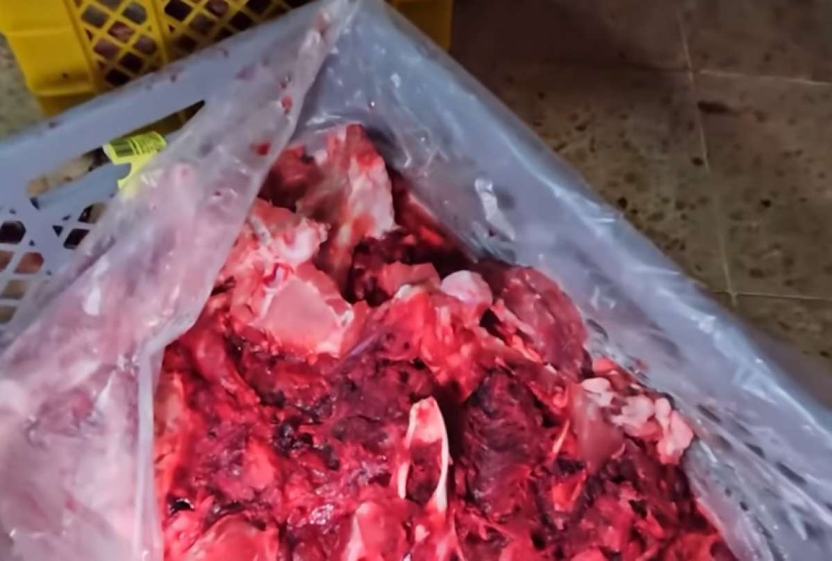 Una carnicería fue clausurada al norte de Guayaquil por vender sus productos mal almacenados y entre plagas. 