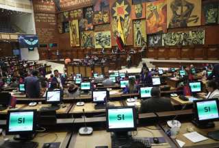 Ley de Alivio Financiero ser&aacute; enviada al Registro Oficial