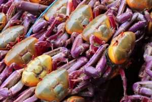 La veda durar&aacute; hasta el 30 de septiembre