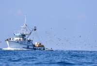 La empresa pesquera ECUAVESSEL S.A. respondió a la denuncia del asambleísta Ferdinan Álvarez. El asambleísta denunció presuntos actos irregulares en uno de sus barcos pesqueros.