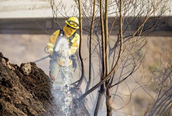 As&iacute; est&aacute; la situaci&oacute;n de los incendios forestales en Ecuador por la crisis de agua. 