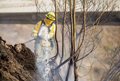 As&iacute; est&aacute; la situaci&oacute;n de los incendios forestales en Ecuador por la crisis de agua. 