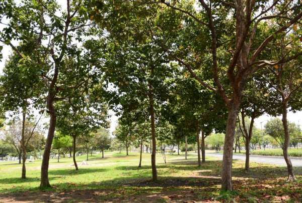 El parque cerrar&aacute; sus puertas a las 18:00 diariamente. 