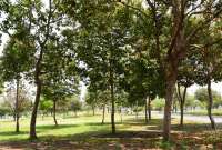 El parque cerrará sus puertas a las 18:00 diariamente.
