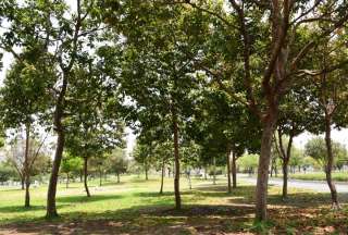 Parque Samanes ajusta su horario de cierre por suspensi&oacute;n de energ&iacute;a