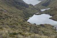 Personal de Etapa confirm&oacute; que dentro del Parque Nacional El Cajas se registra un incendio forestal. 