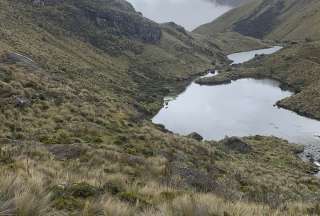 Cuenca: Incendio forestal en el Parque Nacional Cajas&nbsp;