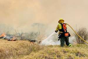  Conozca el listado de planteles educativos que laborar&aacute;n en modalidad no presencial por los incendios forestales.