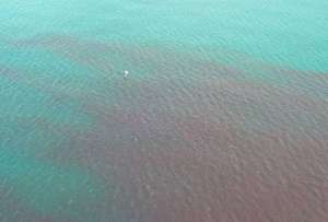 Playa Murciélago: ¿Por qué hubo la mancha roja?