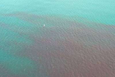 Playa Murci&eacute;lago: &iquest;Por qu&eacute; hubo la mancha roja?