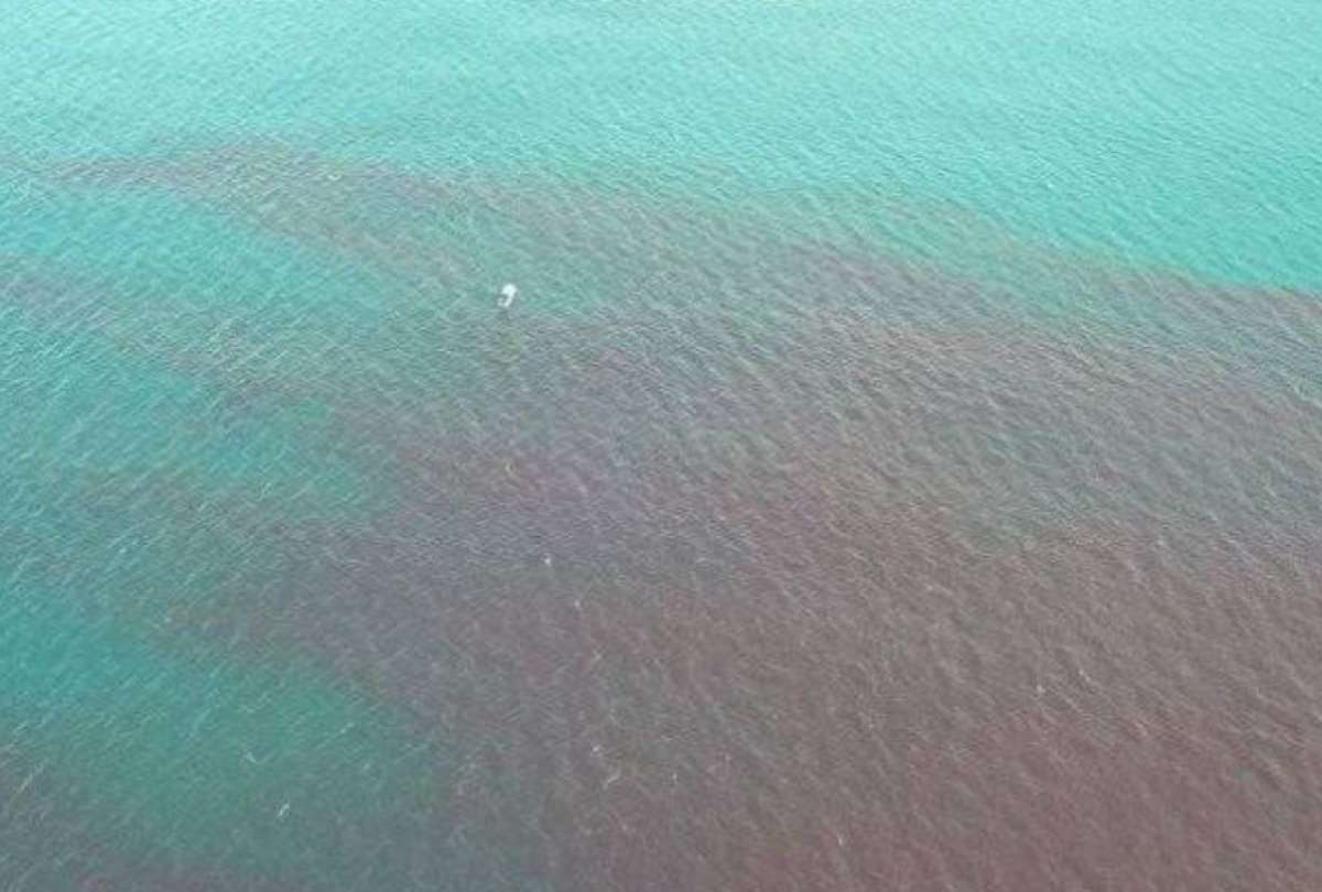 Playa Murciélago: ¿Por qué hubo la mancha roja?