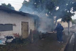 Lucha contra el dengue: M&aacute;s de 12 mil mingas a escala nacional