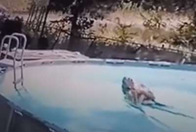 El peque&ntilde;o fue reconocido por las autoridades por su valent&iacute;a.