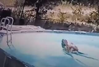 Un ni&ntilde;o es considerado h&eacute;roe tras salvar a su madre de ahogarse en una piscina