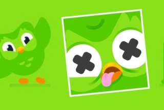 &iquest;Muri&oacute; el b&uacute;ho mascota de Duolingo?