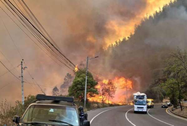 Inamhi advierte riesgo de incendios forestales por altas temperaturas en Sierra y Amazon&iacute;a