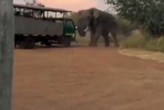 Sud&aacute;frica: un elefante levant&oacute; el cami&oacute;n de un safari