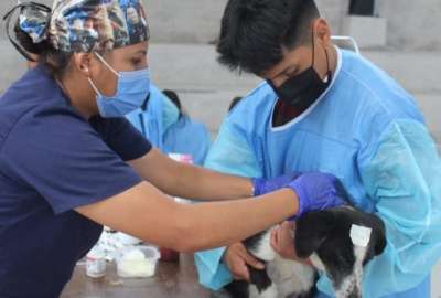 El s&aacute;bado 15 de abril de 2023 se cumpli&oacute; con la esterilizaci&oacute;n gratuita en Nono