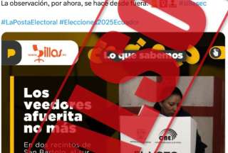 CNE desmiente que veedores pol&iacute;ticos no puedan ingresar a los recintos